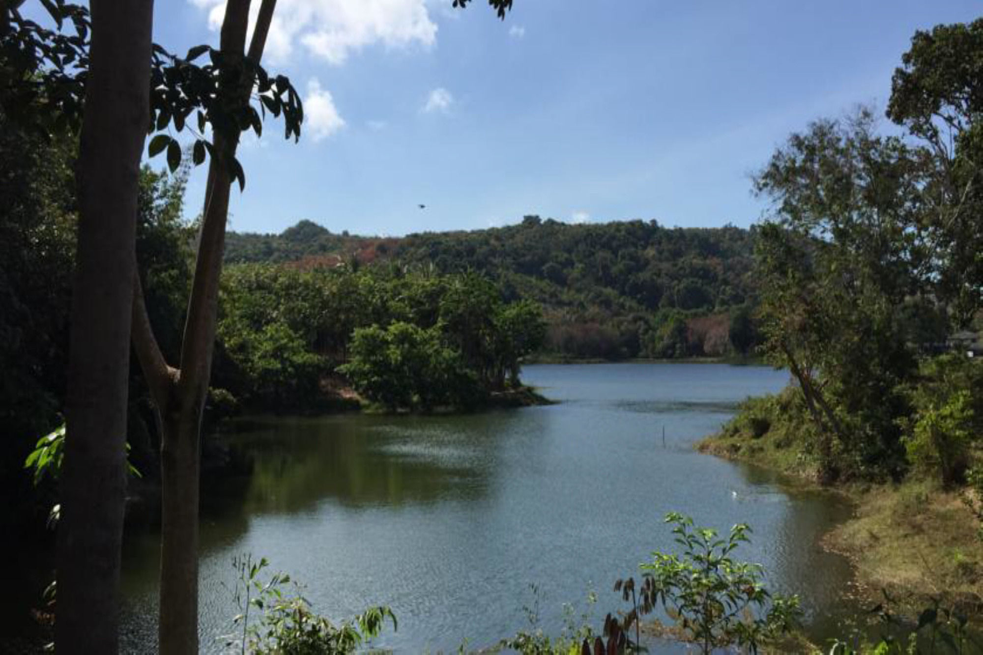Thap Pala Cottage Songkhla Luaran gambar